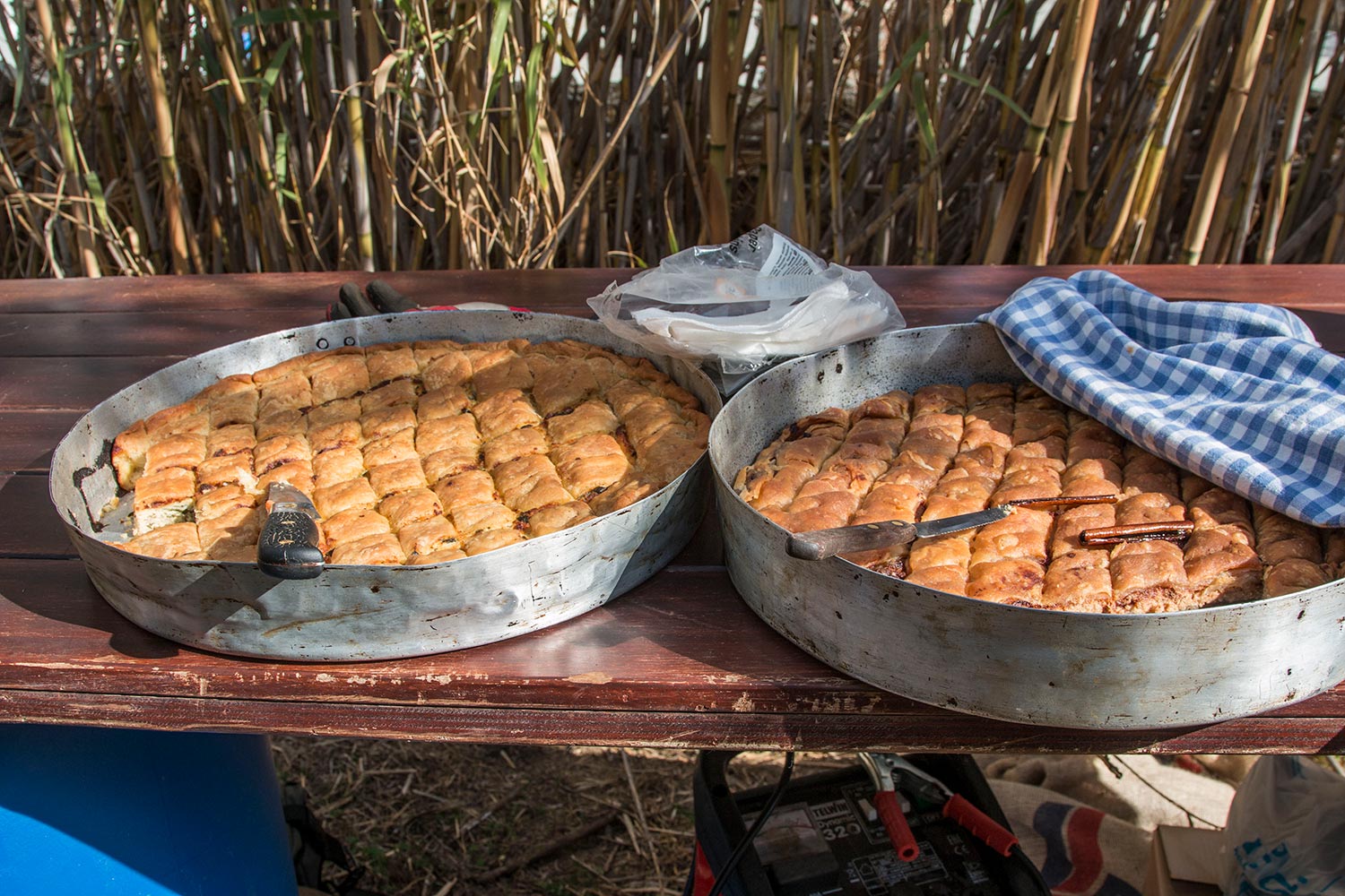 anemomyloi-olive-harvest-000