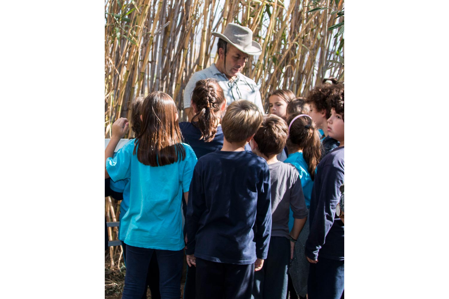 anemomyloi-olive-harvest-10